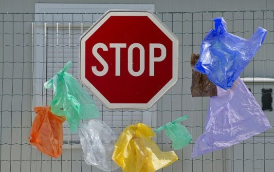 В ОАЭ запретят использовать пластиковые пакеты