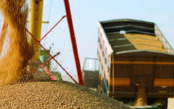 Россия, Турция, Украина и ООН подписали соглашение по экспорту зерна через Черное море