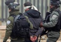 Мученическая смерть 81 палестинца в этом году