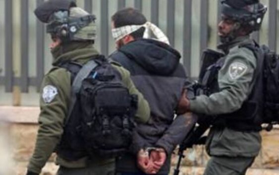 Мученическая смерть 81 палестинца в этом году