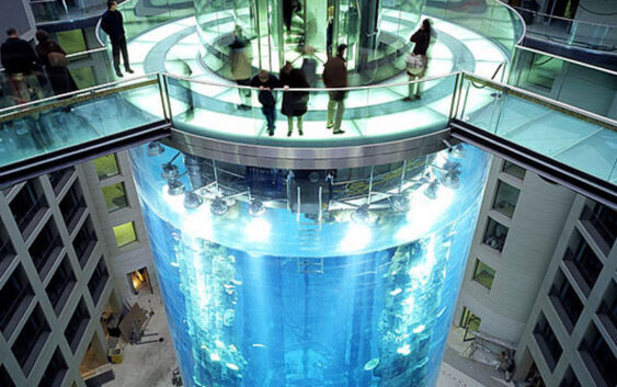 Берлинде ири аквариум жарылып, 1500дөй балык өлдү. Видео