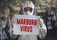 Вирус Марбург- «агент биологического оружия» или человечество ждет новая пандемия?
