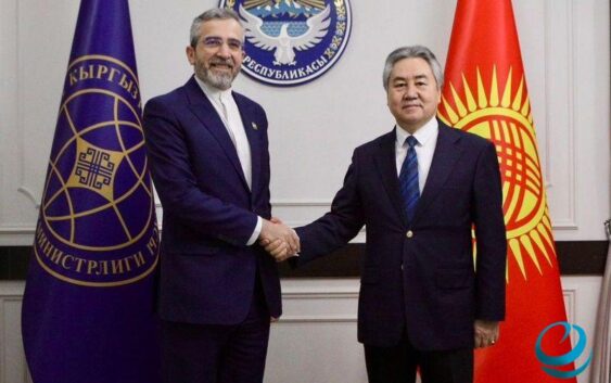 Кыргызстанга Ирандын ТИМ башчысынын орун басары Али Багери келди
