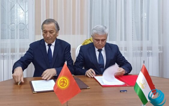 Таджикистан и Кыргызстан в 2023 году согласовали около 170 км госграницы