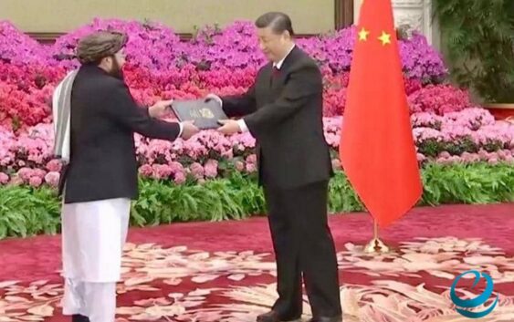 Си Цзиньпин «Талибан» өкмөтүнүн элчисинен ишеним грамотасын кабыл алды