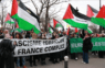 Французы собрались в знак протеста против резни Израиля в секторе Газа
