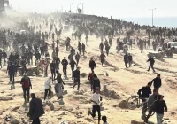 Зверства Израиля в Газе перерастут в глобальную катастрофу — МИД Турции. Видео