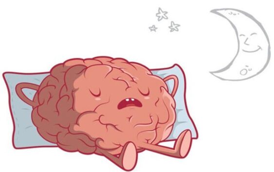 Оптимизация сна для здоровья мозга: советы от клинического нейропсихолога