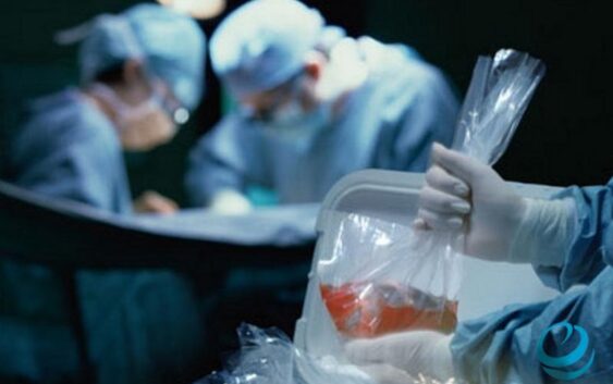 УКМК адам органдарын сатып жүргөн трансулуттук топтун ишмердүүлүгүнө бөгөт койду