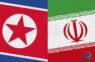 Впервые за 5 лет делегация Северной Кореи отправилась в Иран