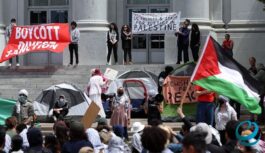 Более 20 университетов США присоединились к протестам против войны в Газе