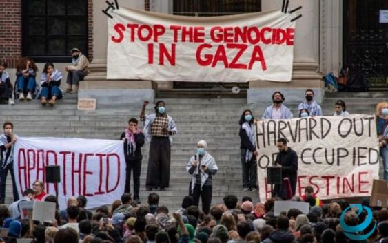 Протесты студентов в США против геноцида Израиля: полицейские задержали почти 1000 человек — ВИДЕО