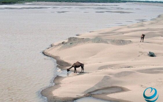 Центральная Азия теряет 55% воды, — эксперт