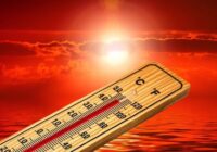 Как жара наносит вред организму человека?