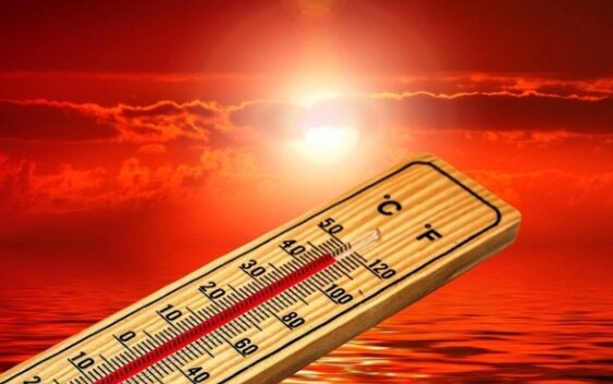 Как жара наносит вред организму человека?